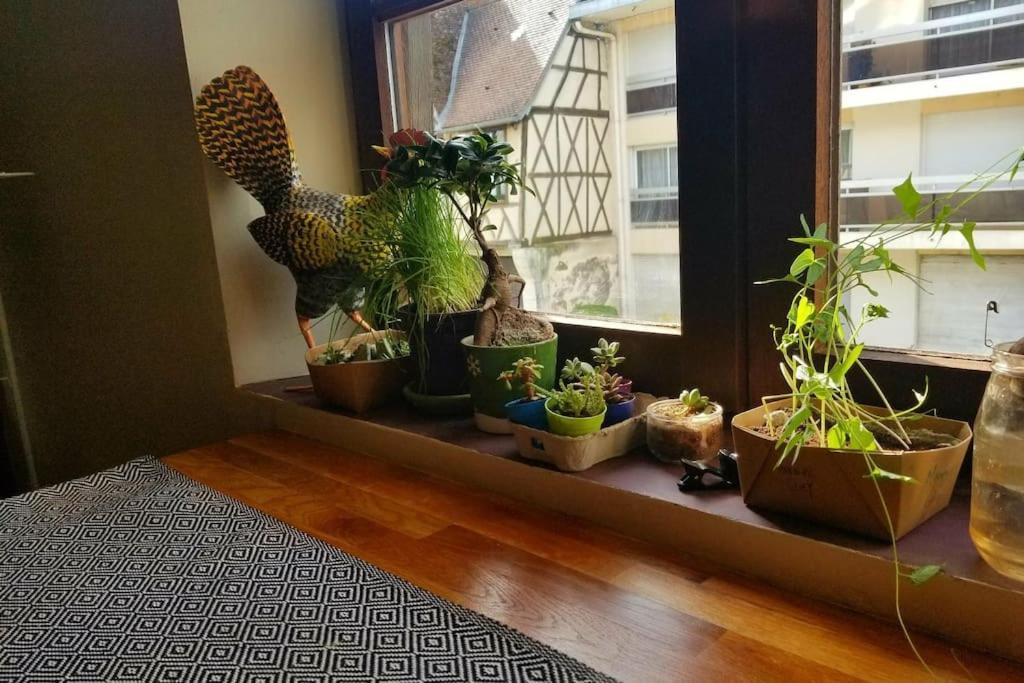 Cosy Apartment By The Magical Marais De بورج المظهر الخارجي الصورة